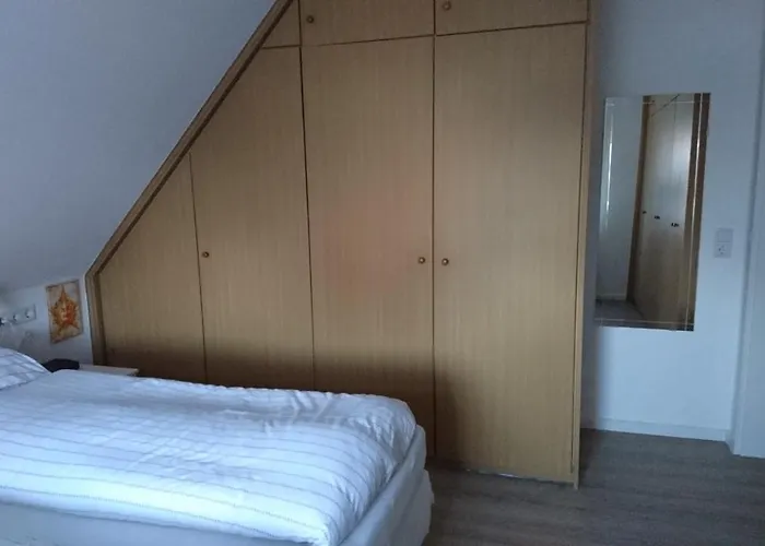 Niemeyer 奥尔登堡